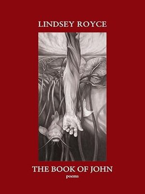 cover image of The Book of John